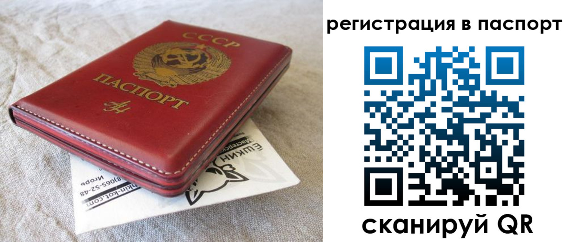 где прописаться в Лисках
